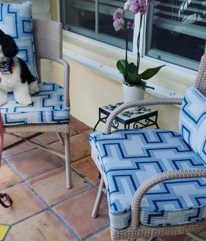 Outdoor custom cushions in outdoor fabric. Box cushions in white and blue Sunbrella fabric